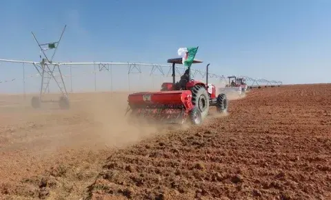 المنيعة: مشروع جزائري-إيطالي لزراعة قصب السكر والحبوب على مساحة 50 ألف هكتار 