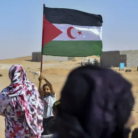 منظمة دانماركية: من المخزي أن يتجاهل الغرب القانون الدولي في الصحراء الغربية