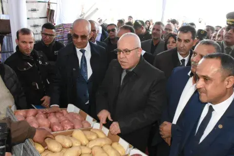 الوادي: نحو إنشاء أقطاب كبرى مخصصة لزراعة الحبوب والذرة الحبية